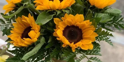 A bouquet of bright yellow sunflowers arranged in a clear glass vase with green foliage.