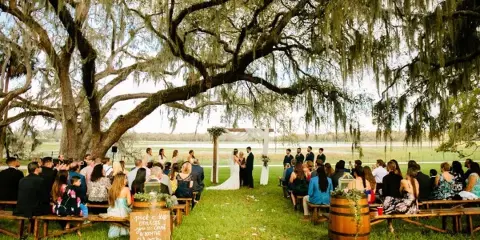 Outdoor wedding ceremony under a large oak tree with Spanish moss, overlooking a lake.