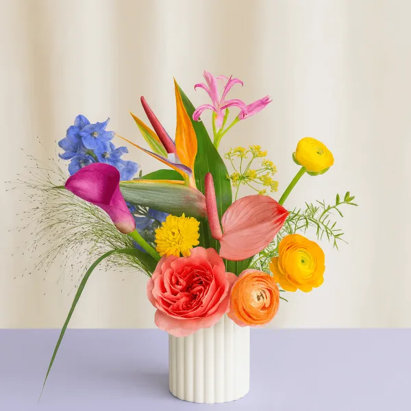 A colorful floral arrangement featuring pink calla lilies, blue delphiniums, and orange ranunculus in a white ribbed vase.