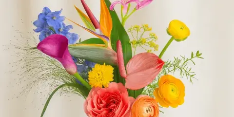 A colorful floral arrangement featuring pink calla lilies, blue delphiniums, and orange ranunculus in a white ribbed vase.
