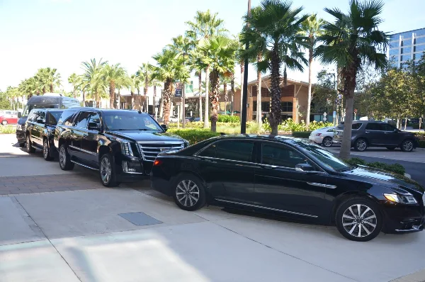 A lineup of black luxury sedans and SUVs parked on a street with palm trees in the background.