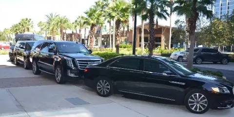 A lineup of black luxury sedans and SUVs parked on a street with palm trees in the background.