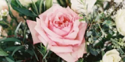 A floral arrangement featuring a pink rose, white roses, and greenery.
