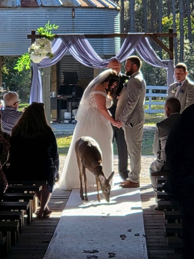 A wedding officiant standing between a bride and groom during a ceremony at an outdoor venue.
