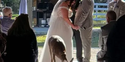 A wedding officiant standing between a bride and groom during a ceremony at an outdoor venue.