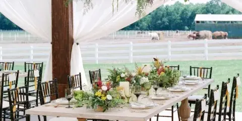 Luxury tented farm wedding reception featuring a long wooden table, black chiavari chairs, and lush floral centerpieces under a white tent.