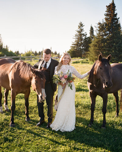 A bride and groom standing in a grassy field between two brown horses, with evergreen trees in the background.