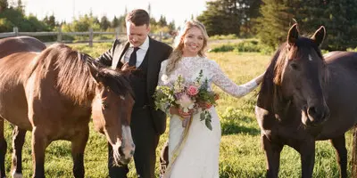 A bride and groom standing in a grassy field between two brown horses, with evergreen trees in the background.