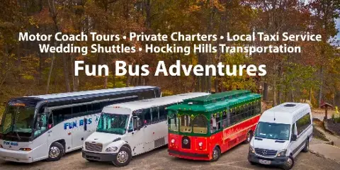 A lineup of four passenger vehicles including a large motorcoach, a shuttle bus, a red and green trolley, and a white van parked outdoors.