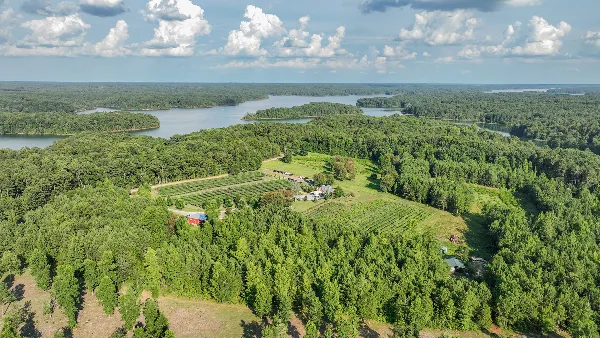 Aerial view of a vineyard and farm buildings located on the shore of a large lake surrounded by forest.