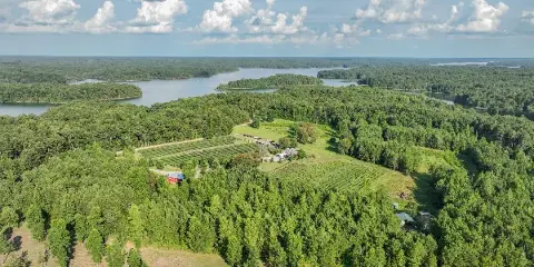 Aerial view of a vineyard and farm buildings located on the shore of a large lake surrounded by forest.