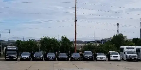 A lineup of Royal Rides chauffeured vehicles including limo buses, SUVs, and sedans with drivers standing in front.