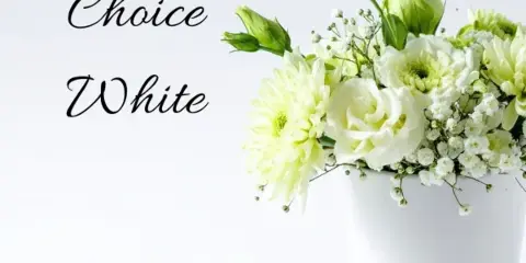A white floral arrangement featuring roses, chrysanthemums, and baby's breath in a white vase.