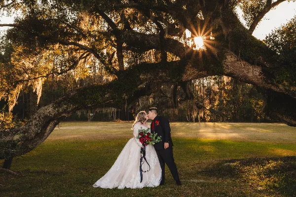 A bride and groom kissing under a large oak tree with Spanish moss during golden hour.