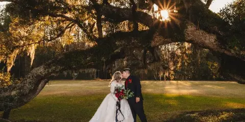 A bride and groom kissing under a large oak tree with Spanish moss during golden hour.