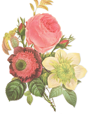 A floral arrangement featuring a pink rose, a red daisy, and a white flower with green leaves.