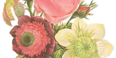 A floral arrangement featuring a pink rose, a red daisy, and a white flower with green leaves.
