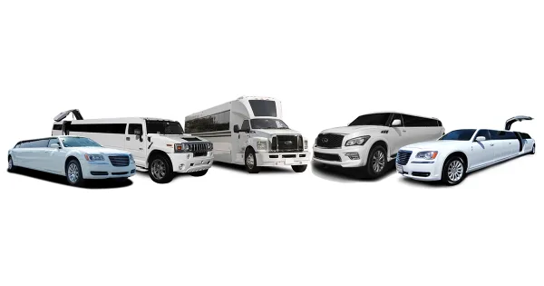 A lineup of white luxury vehicles including stretch limousines, SUVs, and a charter bus.