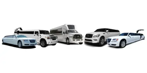 A lineup of white luxury vehicles including stretch limousines, SUVs, and a charter bus.