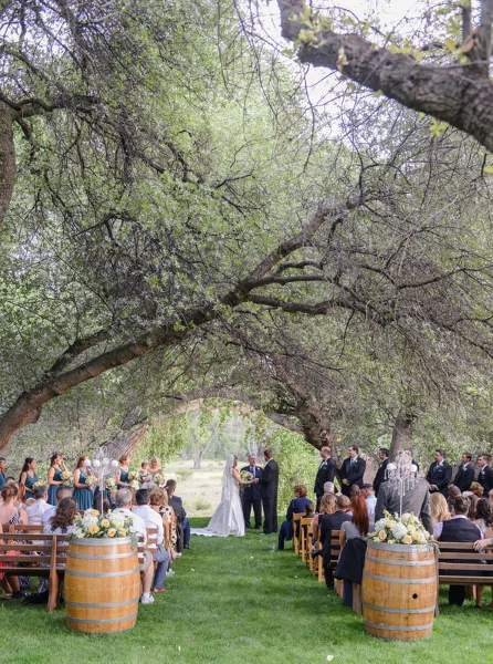 A wedding ceremony in progress under a large tree canopy with guests seated on wooden benches and wine barrels.