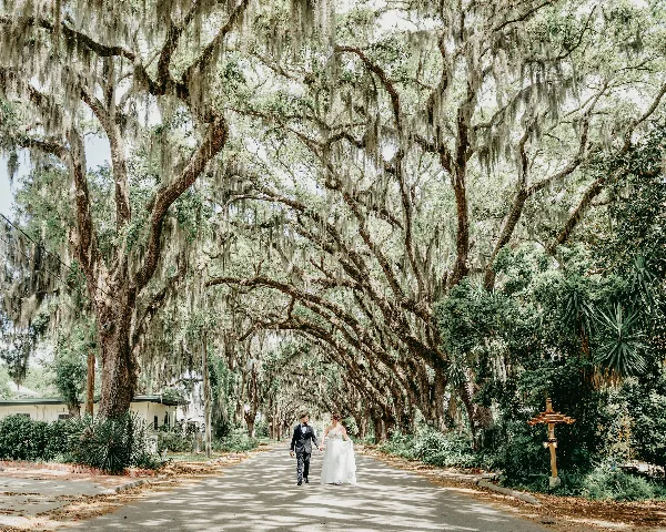 A bride and groom walking hand-in-hand down a road lined with large oak trees draped in Spanish moss.