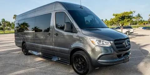 A grey Mercedes Sprinter Van parked in a lot with palm trees in the background.