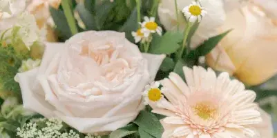 Close-up of a wedding floral arrangement featuring blush and cream roses, daisies, and greenery.