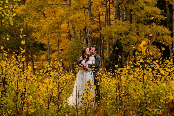 A bride and groom embracing in a field of yellow autumn foliage with aspen trees in the background.