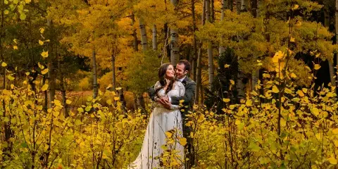 A bride and groom embracing in a field of yellow autumn foliage with aspen trees in the background.
