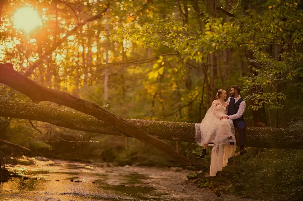 A bride and groom sitting on a fallen tree branch in a sunlit forest setting.