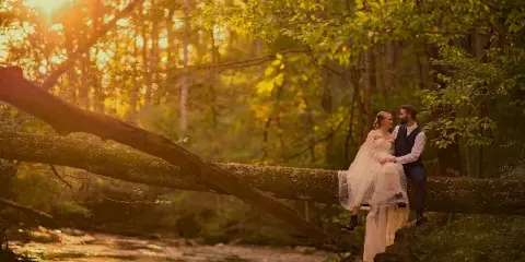 A bride and groom sitting on a fallen tree branch in a sunlit forest setting.