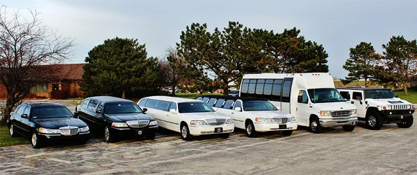A lineup of All Around Limousine Service vehicles including black and white limousines, a white shuttle bus, and SUVs parked on a gravel lot.