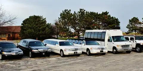 A lineup of All Around Limousine Service vehicles including black and white limousines, a white shuttle bus, and SUVs parked on a gravel lot.