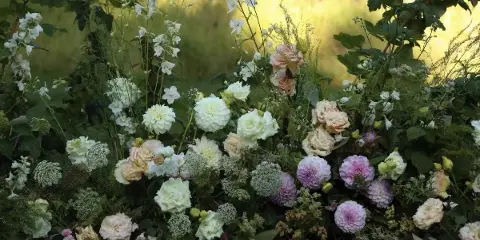 A close-up of a lush floral arrangement featuring white and pink roses, dahlias, and greenery.