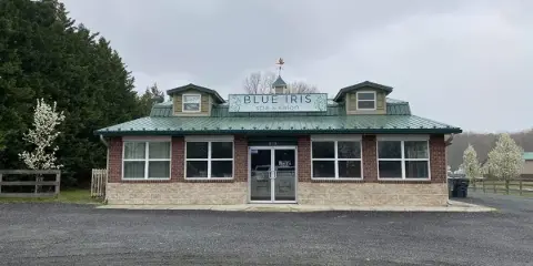 Exterior view of the Blue Iris Day Spa and Salon building featuring a green roof and brick facade.