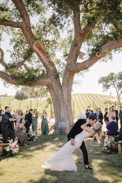 Bride and groom kissing during a wedding ceremony under a large tree in a vineyard with guests seated on benches.