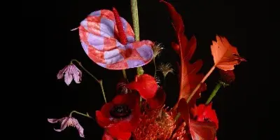 A hand holding a modern, sculptural floral arrangement with red and pink patterned elements against a black background.