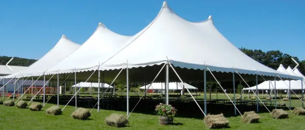 A row of large white event tents set up on a grassy field under a clear blue sky.