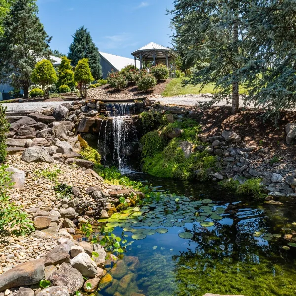 A scenic view of a wedding venue featuring a stone waterfall, a pond with lily pads, and a wooden gazebo in the background.