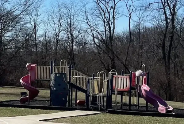 A colorful playground structure with slides and climbing equipment located in a grassy park area with trees in the background.