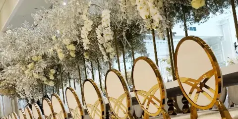 A row of gold and white luxury chairs arranged in a ballroom setting.
