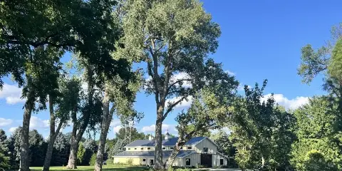 A wide shot of a large, light-colored building with a grey roof, situated on a grassy lawn surrounded by mature trees under a blue sky.