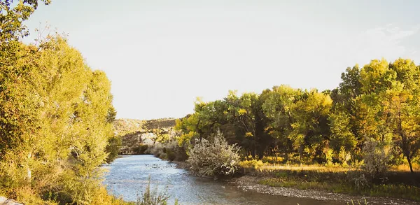 A scenic view of a river flowing through a wooded area with trees on both banks.