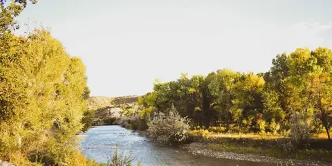A scenic view of a river flowing through a wooded area with trees on both banks.