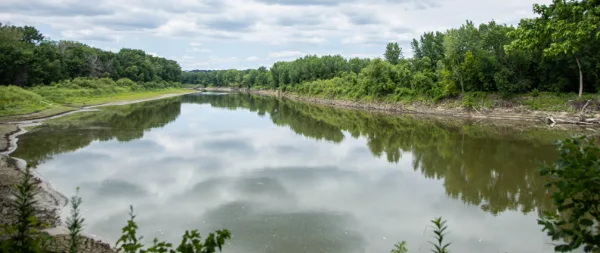 A calm, tree-lined river reflecting the cloudy sky, viewed from the shoreline.