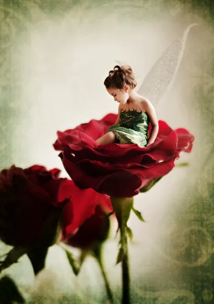 A young girl in a green dress and fairy wings sits on a large red rose in a stylized portrait photograph.