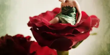A young girl in a green dress and fairy wings sits on a large red rose in a stylized portrait photograph.