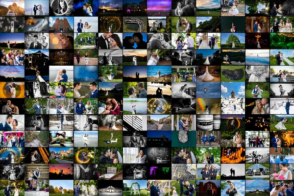 A collage of numerous wedding and elopement photographs featuring couples in various outdoor and indoor settings.