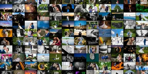 A collage of numerous wedding and elopement photographs featuring couples in various outdoor and indoor settings.