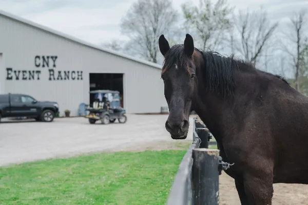 A dark horse stands in the foreground with a white barn building labeled 'CNY Event Ranch' in the background.